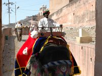 DSC_6288 Jaipur